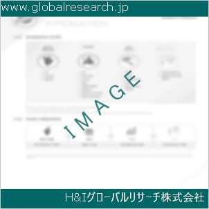 グローバルリサーチ調査資料のイメージ